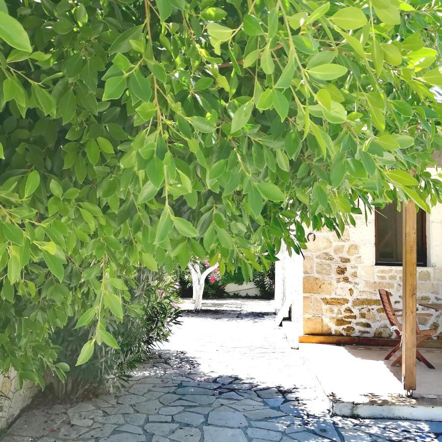 Irini Studios Alykes (Zakynthos) Exterior foto