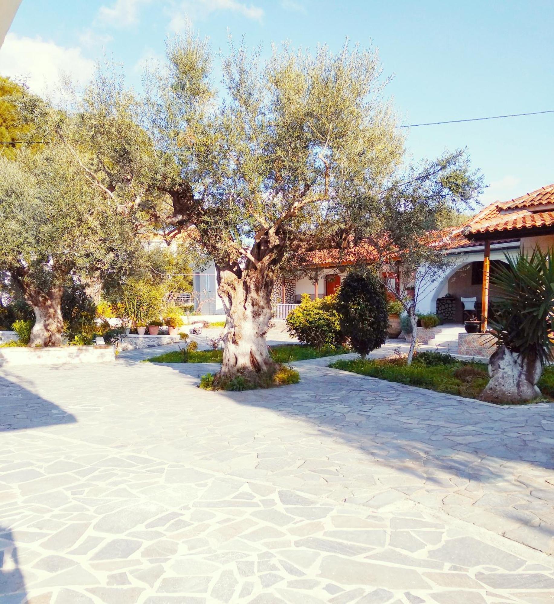 Irini Studios Alykes (Zakynthos) Exterior foto