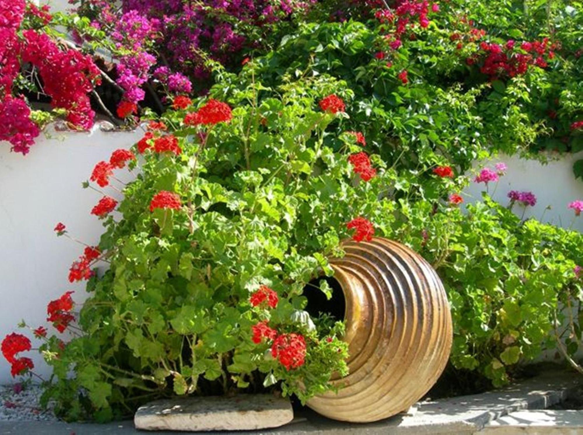 Irini Studios Alykes (Zakynthos) Exterior foto