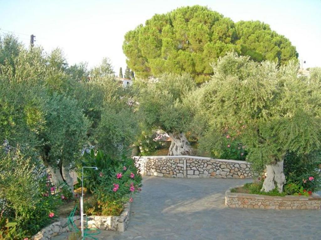 Irini Studios Alykes (Zakynthos) Quarto foto
