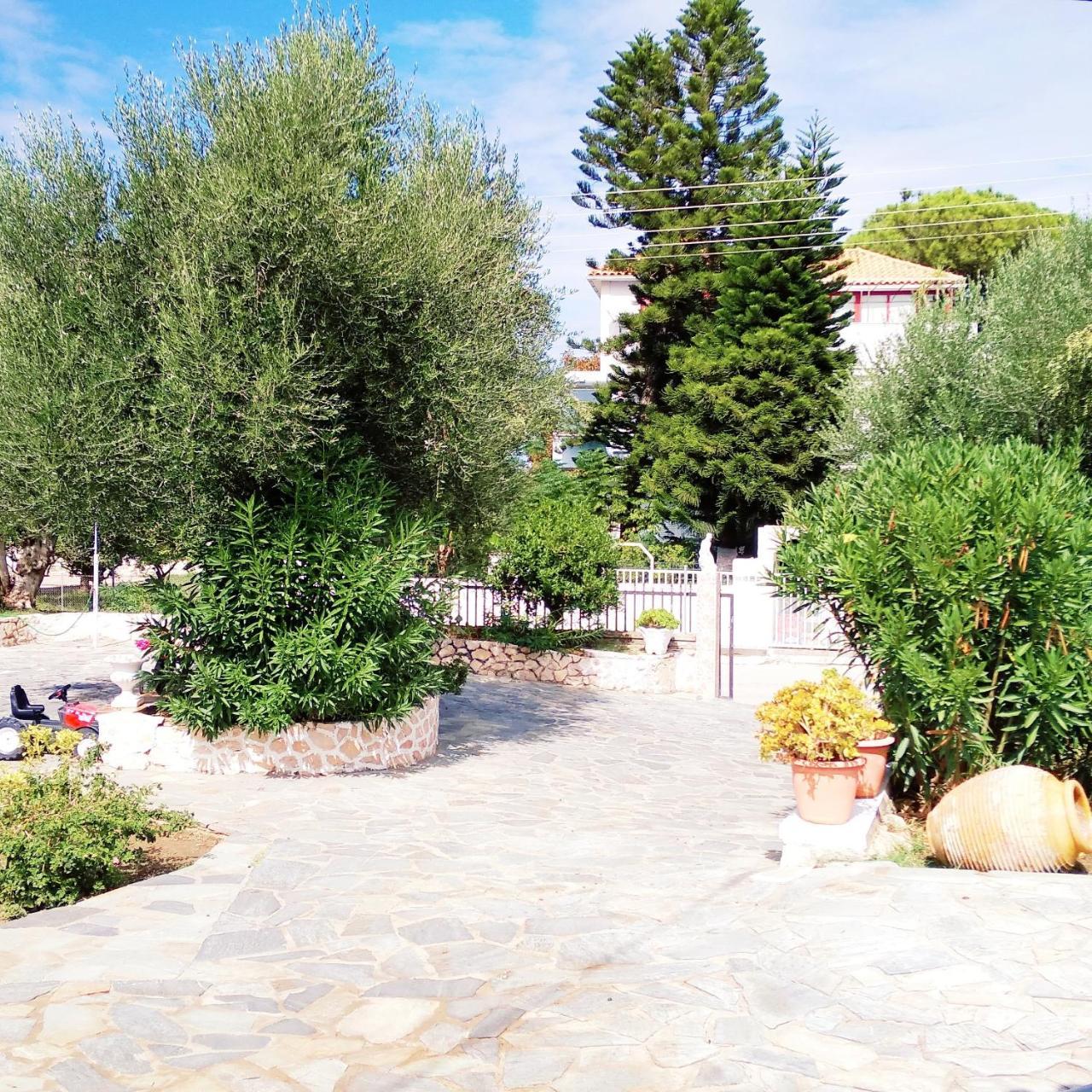 Irini Studios Alykes (Zakynthos) Exterior foto