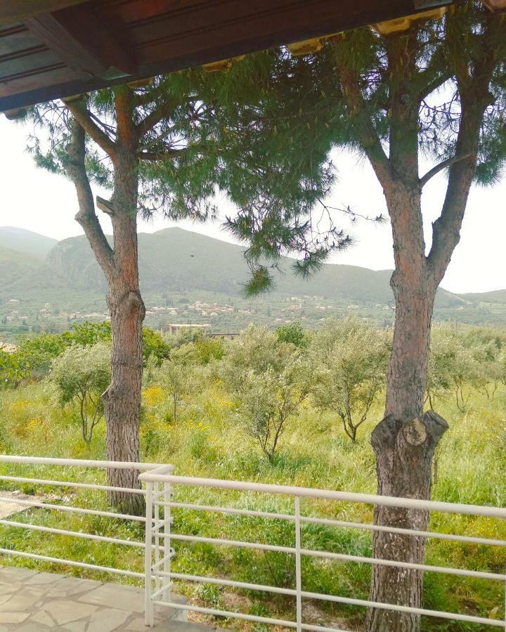 Irini Studios Alykes (Zakynthos) Exterior foto